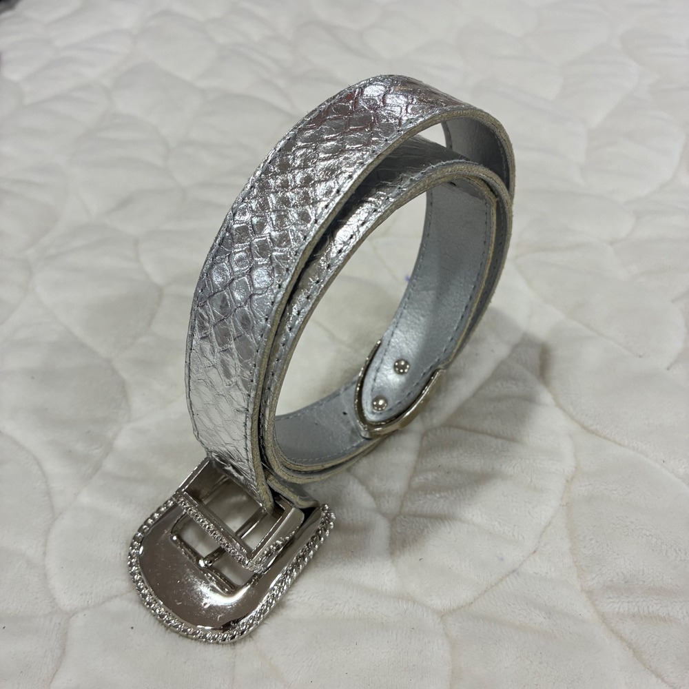 VTG Accessories‎ by Pearl Silver Snakeskin Genuine Leather Casual Belt Large - Picture 2 of 8
